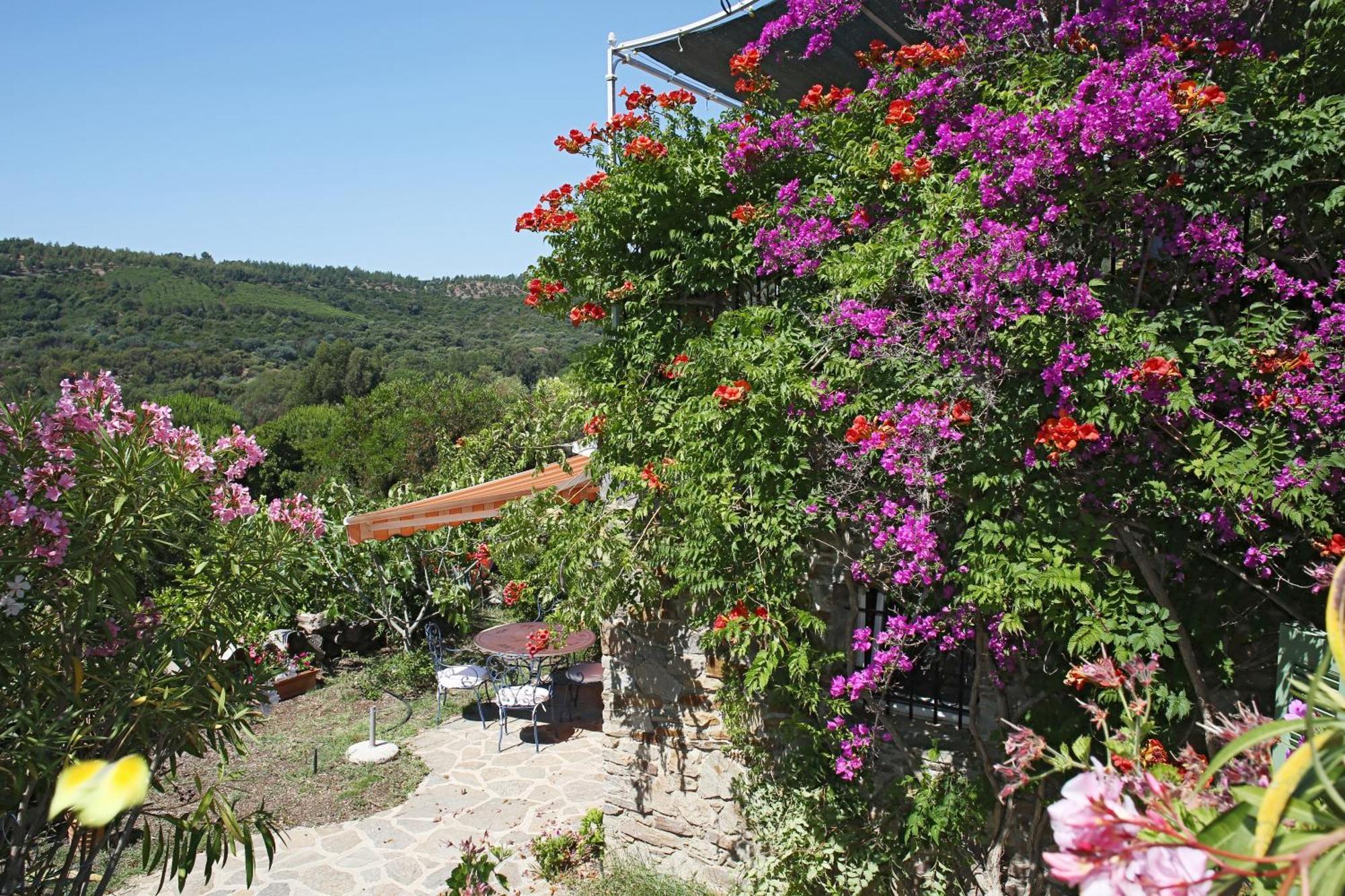 Carpe Diem Le Lavandou Exterior foto