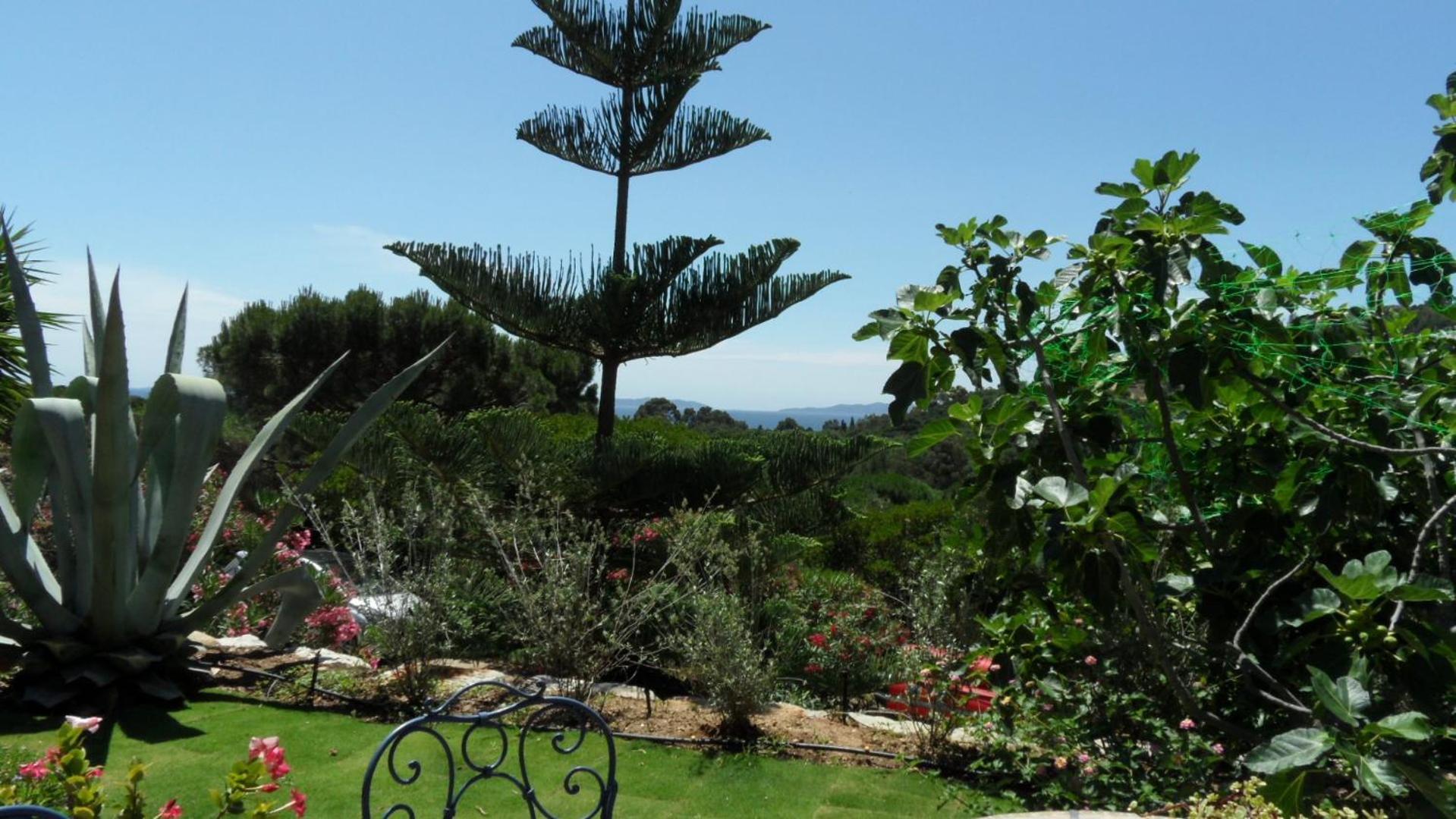 Carpe Diem Le Lavandou Exterior foto